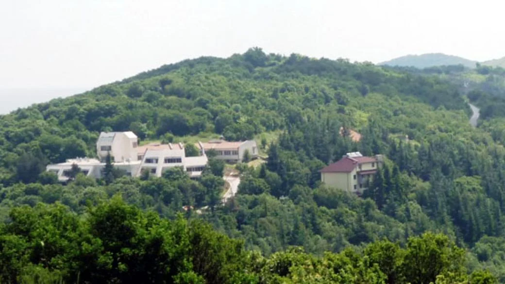 bakadjik