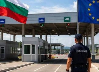 Наркотици за над 2 млн. евро спряха митничарите на Лесово
